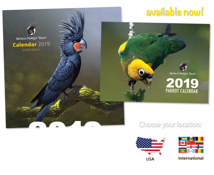 Order your 2019 Parrot Calendars