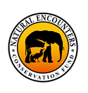 Natural Encounters Conservation Fund