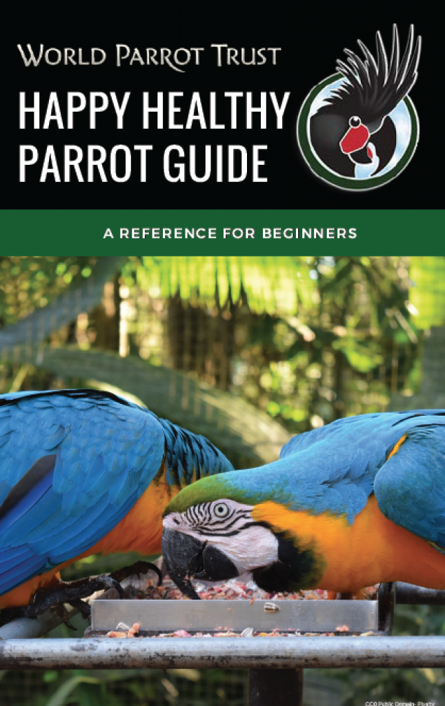 World Parrot Trust