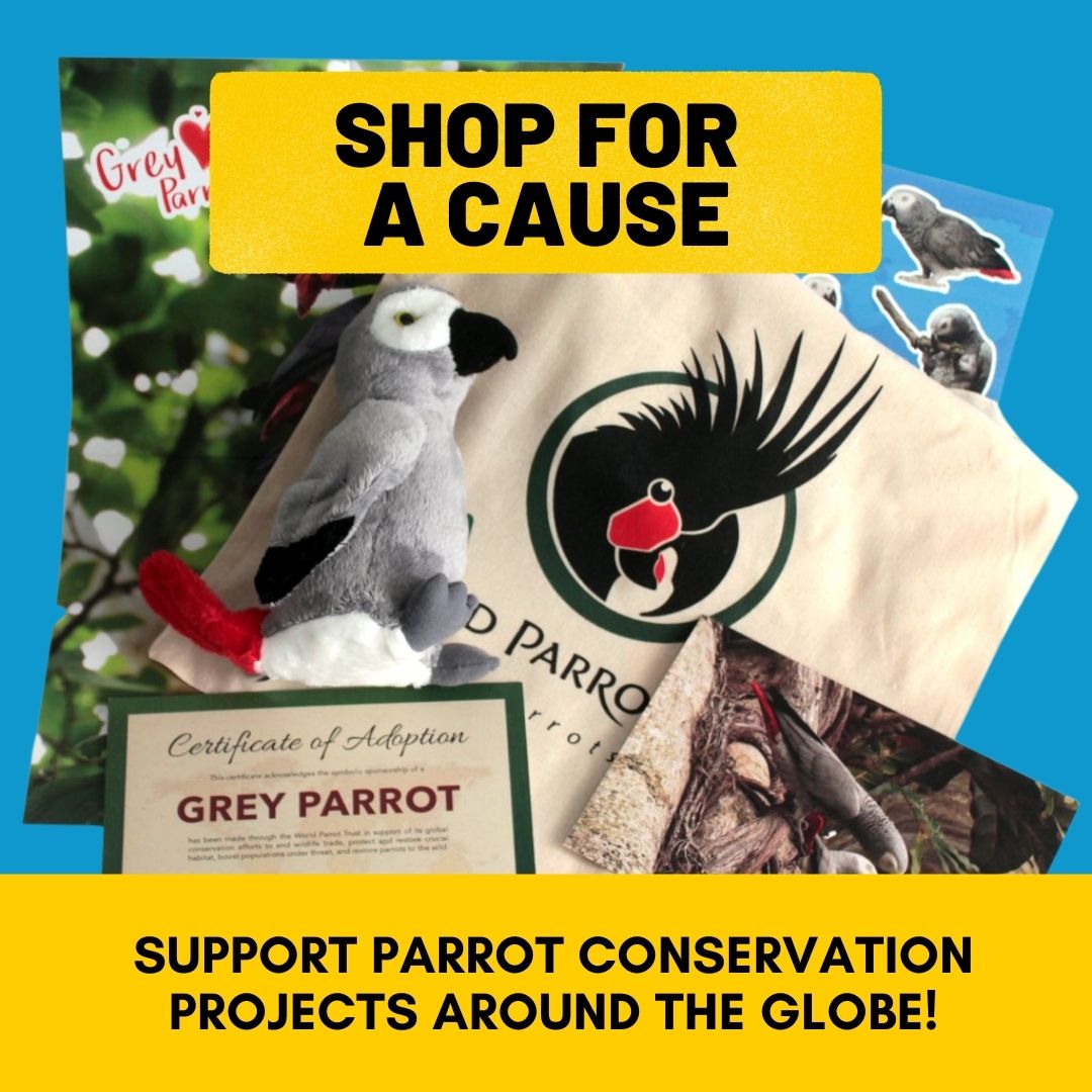 Shop for a Cause