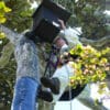 A field worker checks an Echo Parakeet nest box, Mauritius