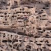 A researcher climbs a cliff of Patagonian Conure breeding burrows