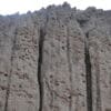 A wild Patagonian Conure nest colony in sheer cliffs