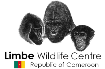 Limbe Wildlife Centre