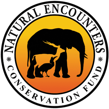 Natural Encounters Conservation Fund