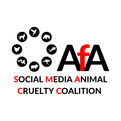 Asia for Animals Social Media Animal Cruelty Coalition