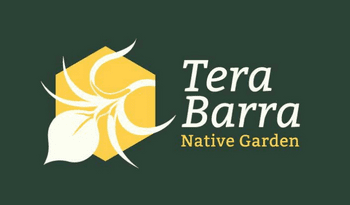 Terra Barra