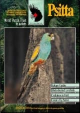 The cover of the May 1999 PsittaScene, magazine of the World Parrot Trust