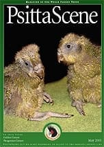 The cover of the May 2005 PsittaScene, magazine of the World Parrot Trust