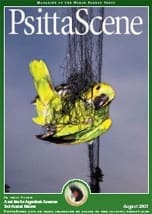 The cover of the August 2005 PsittaScene, magazine of the World Parrot Trust