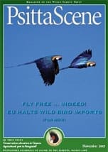 The cover of the November 2005 PsittaScene, magazine of the World Parrot Trust