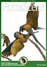 The cover of the February 2006 PsittaScene, magazine of the World Parrot Trust