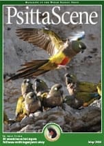 The cover of the May 2006 PsittaScene, magazine of the World Parrot Trust