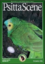 The cover of the November 2006 PsittaScene, magazine of the World Parrot Trust