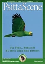 The cover of the February 2007 PsittaScene, magazine of the World Parrot Trust