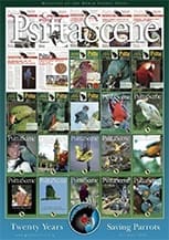 The cover of the 2009 20-year issue of PsittaScene, magazine of the World Parrot Trust