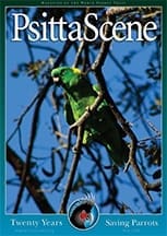 The cover of the May 2009 PsittaScene, magazine of the World Parrot Trust