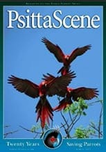 The cover of s 2009 issue of PsittaScene, magazine of the World Parrot Trust