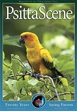 The cover of the November 2009 PsittaScene, magazine of the World Parrot Trust