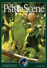 The cover of the February 2010 PsittaScene, magazine of the World Parrot Trust