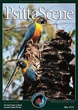 The cover of the May 2010 PsittaScene, magazine of the World Parrot Trust