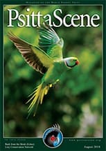 The cover of the August 2010 PsittaScene, magazine of the World Parrot Trust