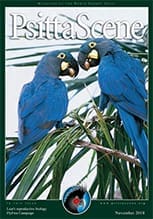 The cover of the November 2010 PsittaScene, magazine of the World Parrot Trust