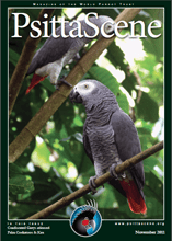 The cover of the November 2011 PsittaScene, magazine of the World Parrot Trust