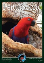 The cover of the May 2012 PsittaScene, magazine of the World Parrot Trust