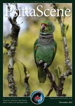 The cover of the November 2012 PsittaScene, magazine of the World Parrot Trust