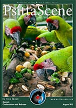 The cover of the August 2011 PsittaScene, magazine of the World Parrot Trust