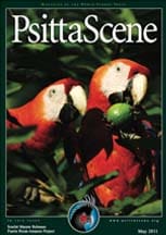 The cover of the May 2011 PsittaScene, magazine of the World Parrot Trust