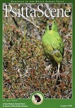 The cover of the August 2008 PsittaScene, magazine of the World Parrot Trust