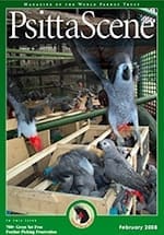 The cover of the February 2008 PsittaScene, magazine of the World Parrot Trust