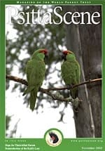 The cover of the November 2008 PsittaScene, magazine of the World Parrot Trust