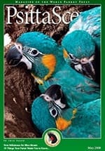 The cover of the May 2008 PsittaScene, magazine of the World Parrot Trust