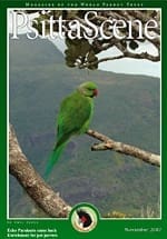 The cover of the November 2007 PsittaScene, magazine of the World Parrot Trust