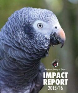 Cover of 2015/2016 WPT Impact Report