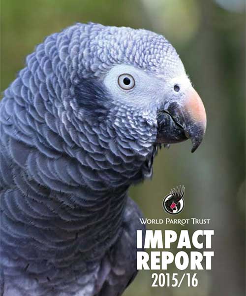 Impact Report 2015 / 2016