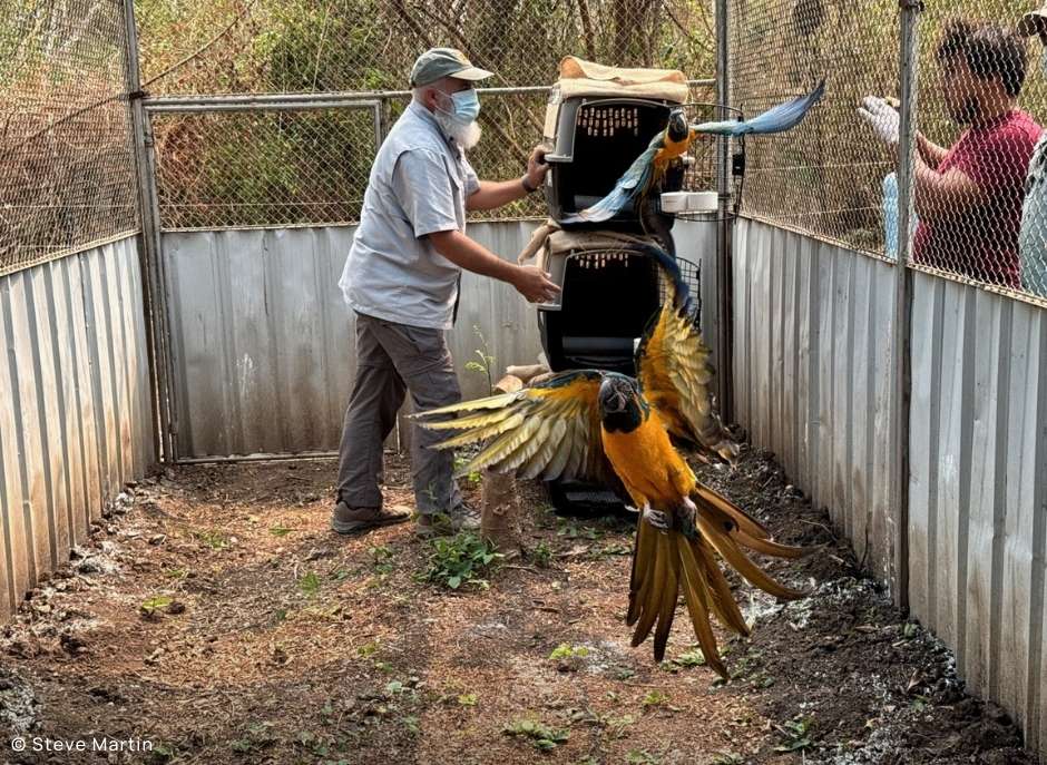 Saving Endangered Species Photo Inspiration