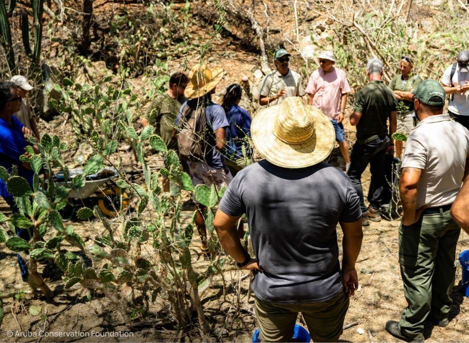 Native Vegetation Reforestation Workshop