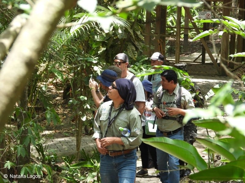 Participants